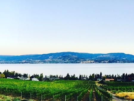 Summerhill Estate House Bed and Breakfast Kelowna Zewnętrze zdjęcie
