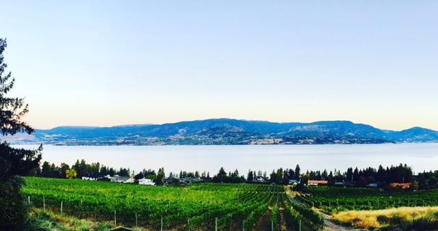 Summerhill Estate House Bed and Breakfast Kelowna Zewnętrze zdjęcie